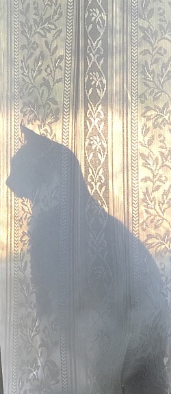 夏ももう直ぐそこに❗️